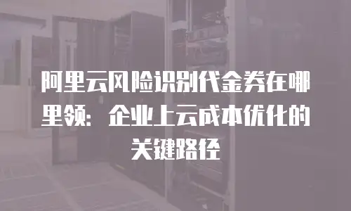阿里云风险识别代金券在哪里领：企业上云成本优化的关键路径