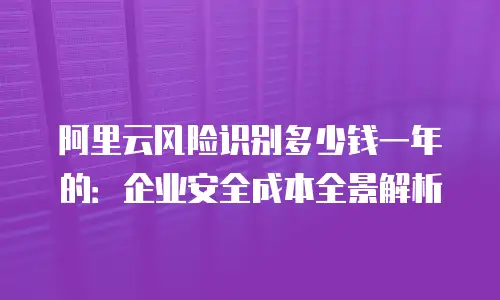 阿里云风险识别多少钱一年的：企业安全成本全景解析