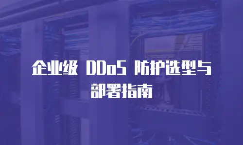 企业级 DDoS 防护选型与部署指南