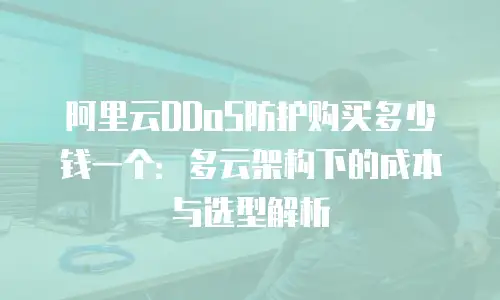 阿里云DDoS防护购买多少钱一个：多云架构下的成本与选型解析