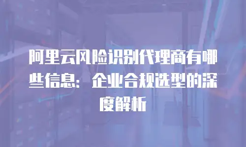 阿里云风险识别代理商有哪些信息：企业合规选型的深度解析