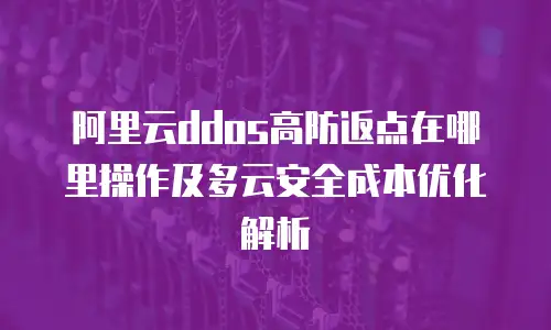 阿里云ddos高防返点在哪里操作及多云安全成本优化解析
