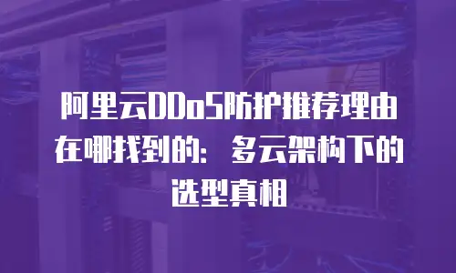 阿里云DDoS防护推荐理由在哪找到的：多云架构下的选型真相