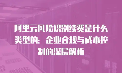 阿里云风险识别续费是什么类型的：企业合规与成本控制的深层解析