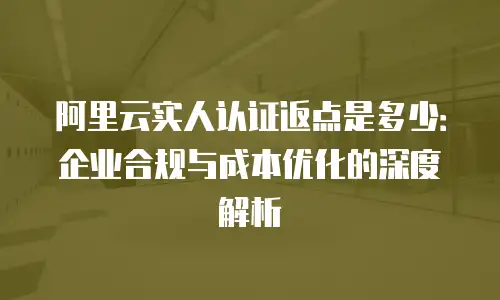 阿里云实人认证返点是多少：企业合规与成本优化的深度解析