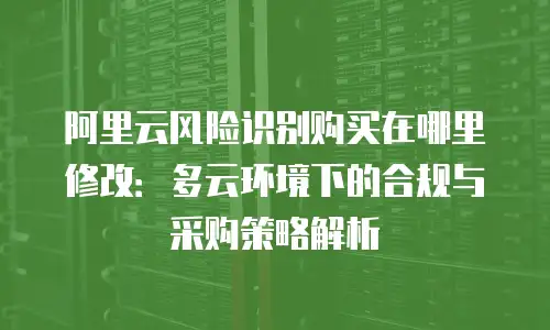 阿里云风险识别购买在哪里修改：多云环境下的合规与采购策略解析
