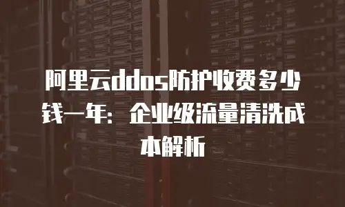 阿里云ddos防护收费多少钱一年：企业级流量清洗成本解析