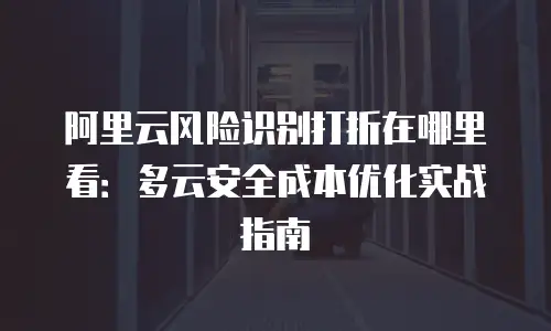 阿里云风险识别打折在哪里看：多云安全成本优化实战指南