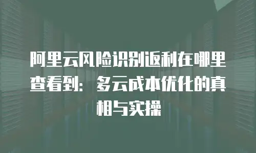 阿里云风险识别返利在哪里查看到：多云成本优化的真相与实操
