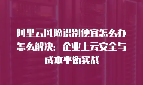 阿里云风险识别便宜怎么办怎么解决：企业上云安全与成本平衡实战