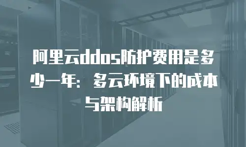 阿里云ddos防护费用是多少一年：多云环境下的成本与架构解析