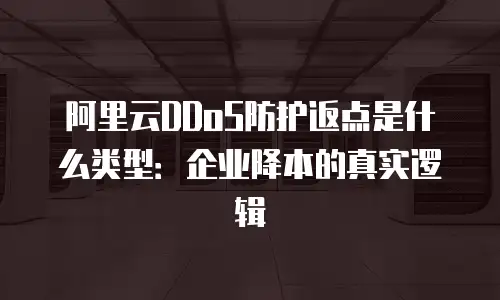阿里云DDoS防护返点是什么类型：企业降本的真实逻辑