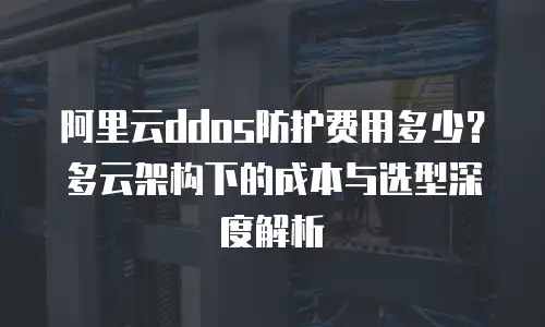 阿里云ddos防护费用多少？多云架构下的成本与选型深度解析