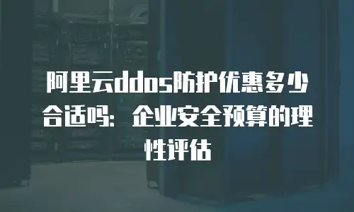阿里云ddos防护优惠多少合适吗：企业安全预算的理性评估