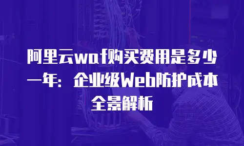 阿里云waf购买费用是多少一年：企业级Web防护成本全景解析