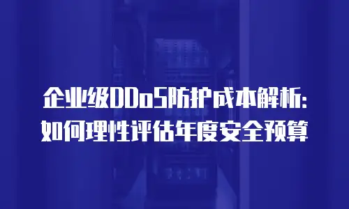 企业级DDoS防护成本解析：如何理性评估年度安全预算