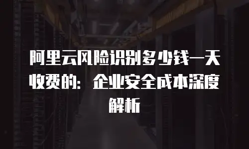 阿里云风险识别多少钱一天收费的：企业安全成本深度解析