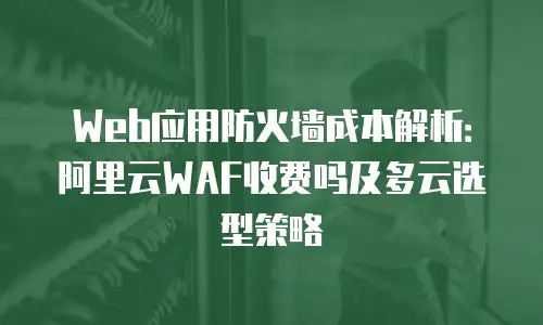Web应用防火墙成本解析：阿里云WAF收费吗及多云选型策略