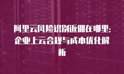 阿里云风险识别返佣在哪里：企业上云合规与成本优化解析