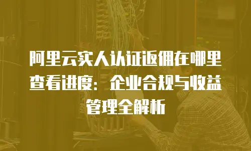 阿里云实人认证返佣在哪里查看进度：企业合规与收益管理全解析