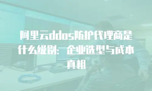 阿里云ddos防护代理商是什么级别：企业选型与成本真相