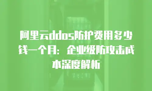 阿里云ddos防护费用多少钱一个月：企业级防攻击成本深度解析