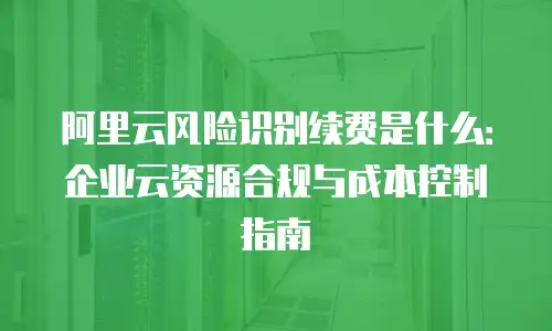 阿里云风险识别续费是什么：企业云资源合规与成本控制指南