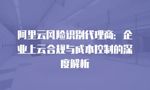 阿里云风险识别代理商：企业上云合规与成本控制的深度解析
