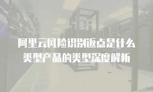 阿里云风险识别返点是什么类型产品的类型深度解析