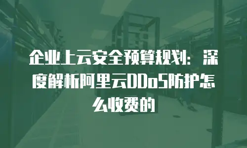 企业上云安全预算规划：深度解析阿里云DDoS防护怎么收费的