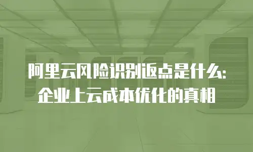 阿里云风险识别返点是什么：企业上云成本优化的真相