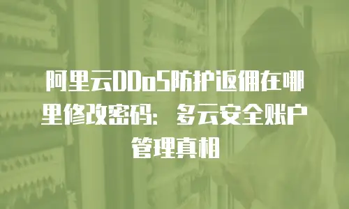 阿里云DDoS防护返佣在哪里修改密码：多云安全账户管理真相