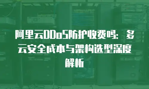 阿里云DDoS防护收费吗：多云安全成本与架构选型深度解析