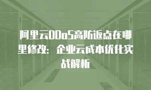 阿里云DDoS高防返点在哪里修改：企业云成本优化实战解析