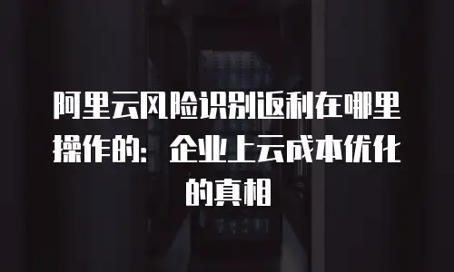 阿里云风险识别返利在哪里操作的：企业上云成本优化的真相