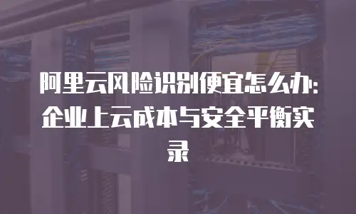 阿里云风险识别便宜怎么办：企业上云成本与安全平衡实录