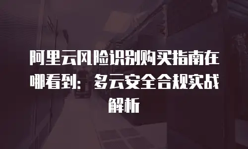 阿里云风险识别购买指南在哪看到：多云安全合规实战解析