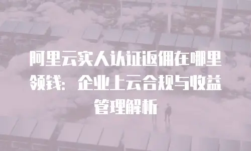 阿里云实人认证返佣在哪里领钱：企业上云合规与收益管理解析