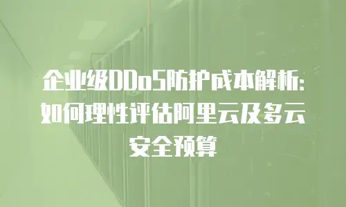 企业级DDoS防护成本解析：如何理性评估阿里云及多云安全预算