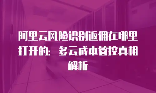 阿里云风险识别返佣在哪里打开的：多云成本管控真相解析