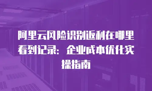 阿里云风险识别返利在哪里看到记录：企业成本优化实操指南