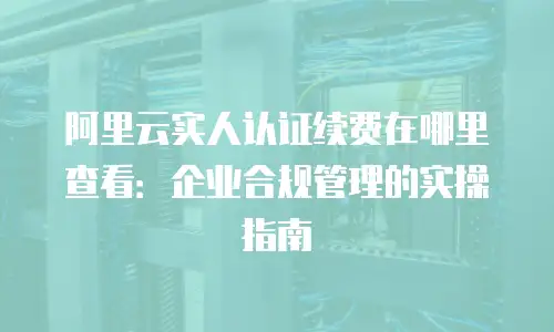 阿里云实人认证续费在哪里查看：企业合规管理的实操指南