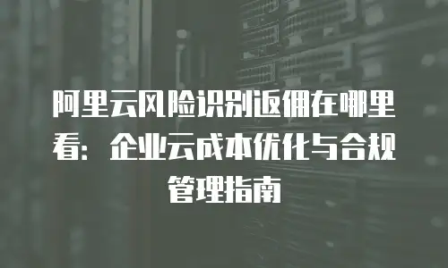 阿里云风险识别返佣在哪里看：企业云成本优化与合规管理指南