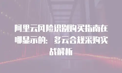阿里云风险识别购买指南在哪显示的：多云合规采购实战解析