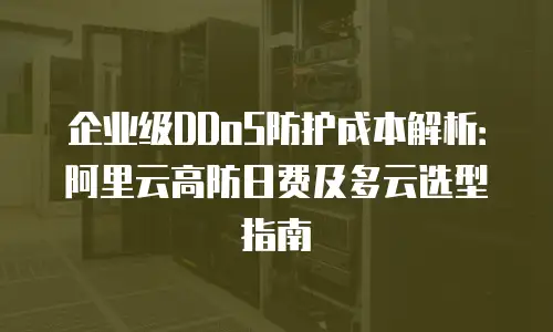 企业级DDoS防护成本解析：阿里云高防日费及多云选型指南