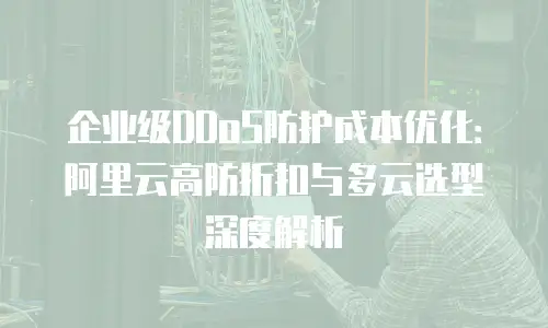 企业级DDoS防护成本优化：阿里云高防折扣与多云选型深度解析