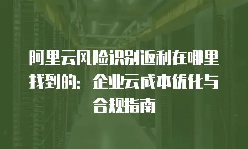 阿里云风险识别返利在哪里找到的：企业云成本优化与合规指南