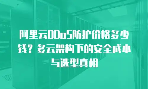 阿里云DDoS防护价格多少钱？多云架构下的安全成本与选型真相
