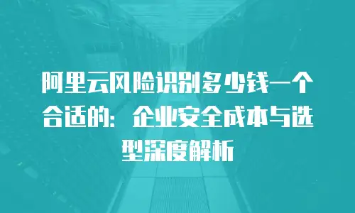 阿里云风险识别多少钱一个合适的：企业安全成本与选型深度解析