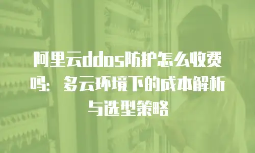 阿里云ddos防护怎么收费吗：多云环境下的成本解析与选型策略
